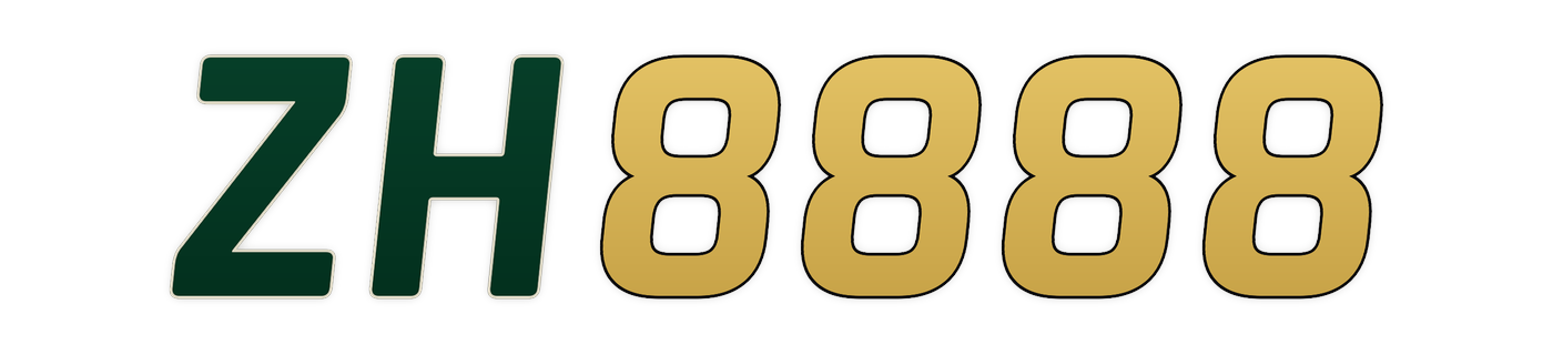 zh8888